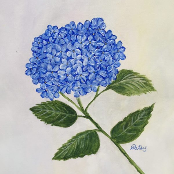A Blue Hydrangea by Patsy Kentz