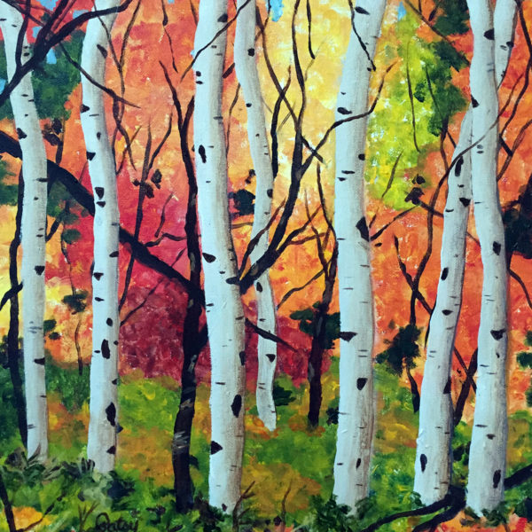Birch Trees in Autumn by Patsy Kentz