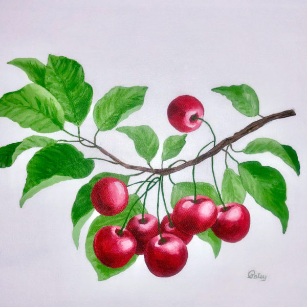 Branch of Cherries