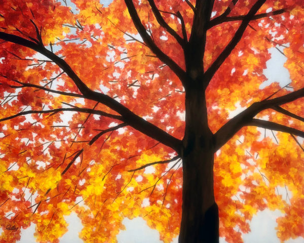 Autumn Leaves by Patsy Kentz