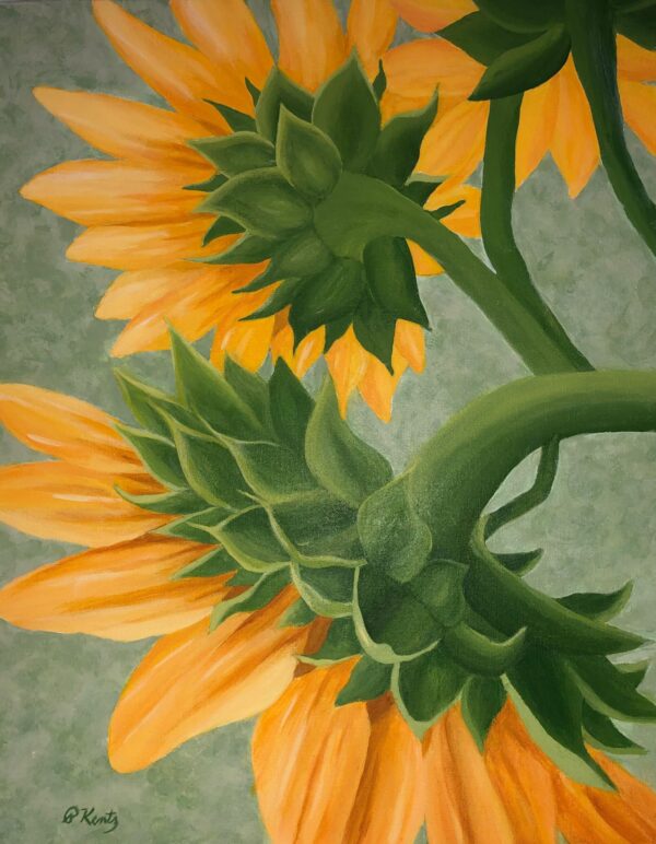 Sunflowers by Patsy Kentz