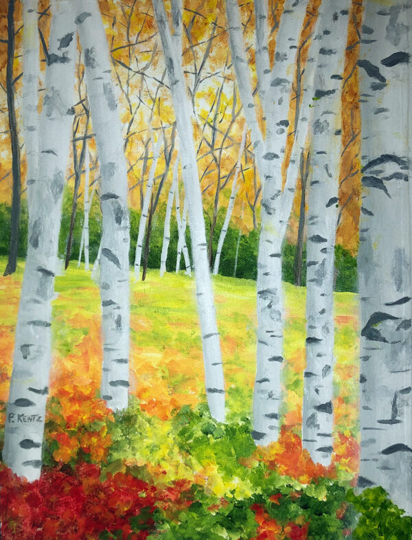 The Birch Trees by Patsy Kentz