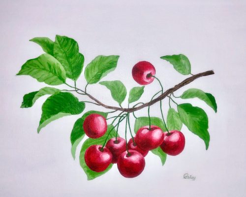 Branch of Cherries