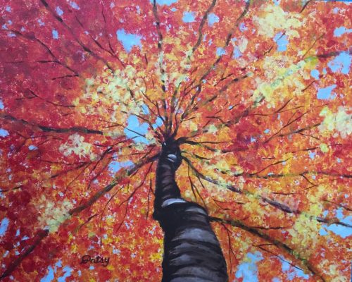 Looking up in Autumn by Patsy Kentz